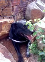 Největší cestovatel