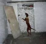 Největší záchranář