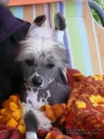 Nejkrásnější pohled