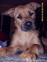 Nejnechápavější pohled