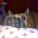 Nejnechápavější pohled