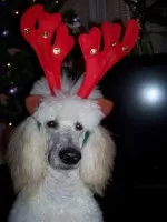 Nejkrásnější převleky