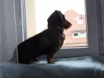 Nejlepší hlídač