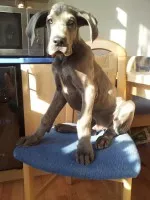 Nejkrásnější ouška