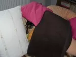 Největší spáč