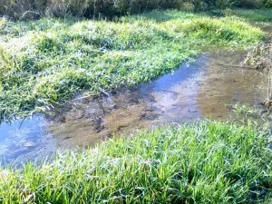 Odchovný rybník Spišská Belá