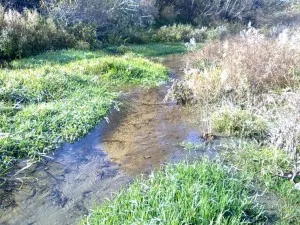 Odchovný rybník Spišská Belá