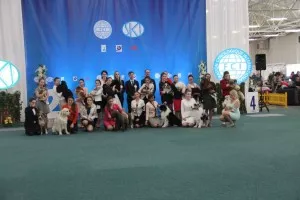 toooľko nás tam bolo