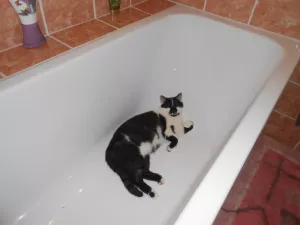 Mikeš nejraději spí ve vaně Mikeš nejraději spí ve vaně