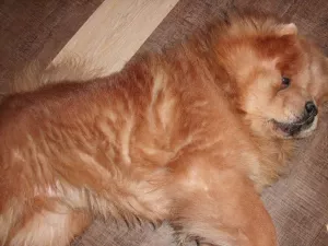 odpočívám a relaxuju odpočívám a relaxuju