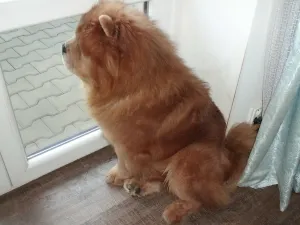 venku zase prší venku zase prší