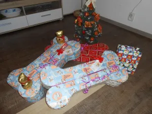 nadílka od Ježíška