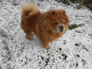 zase napadlo trochu sněhu