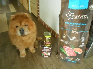 Šíma a výhra