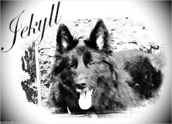 Hlavní fotka