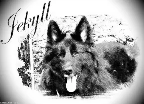 Jekyll