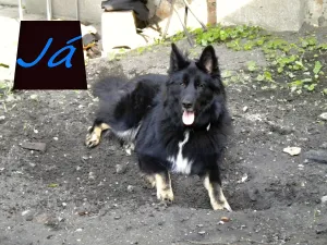 V celé své kráse a v těch nejlepších letech V celé své kráse a v těch nejlepších letech