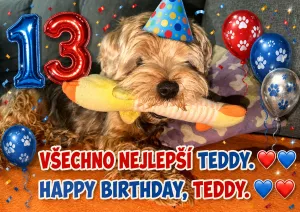 Teddy - 0 palec