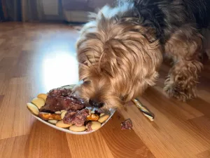 Teddy - 0 palec