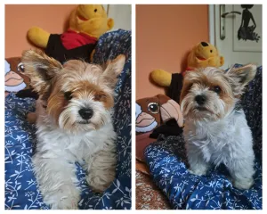Matýsek v mojí postýlce.❤️ Matýsek v mojí postýlce.❤️