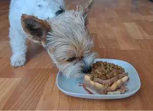 Matýsek papá narozeninový mini dortík. ❤️ Matýsek papá narozeninový mini dortík. ❤️