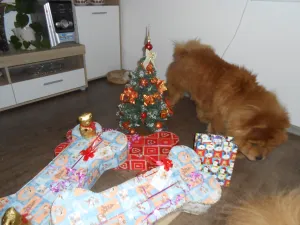 z které strany začnu rozbalovat