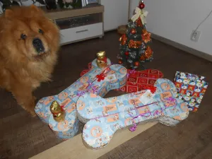 Šímo, pojď, budeme rozbalovat