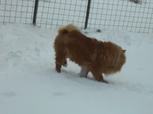 konečně čistá zahrada bez bláta