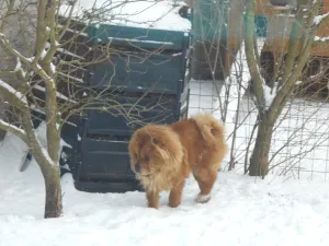 snížek je naše radost