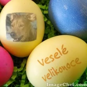 Veselé Velikonoce