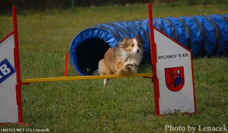 Co to je za plemeno?