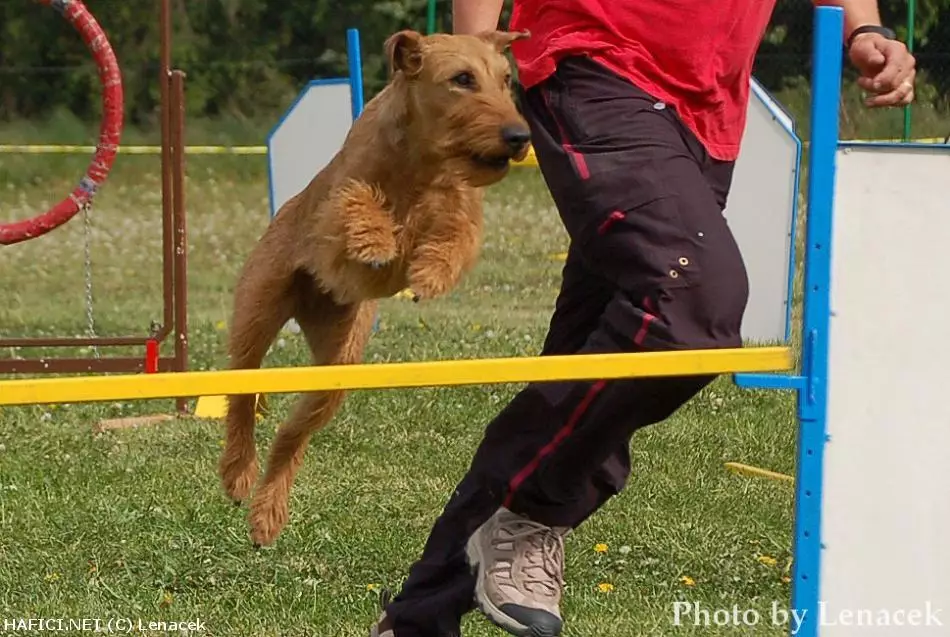 Co to je za plemeno?