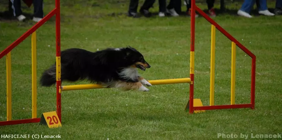 Co to je za plemeno?