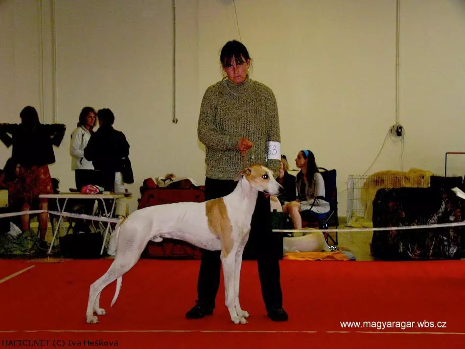 Co to je za plemeno?