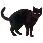 Lennis - 08.11.25 18:36